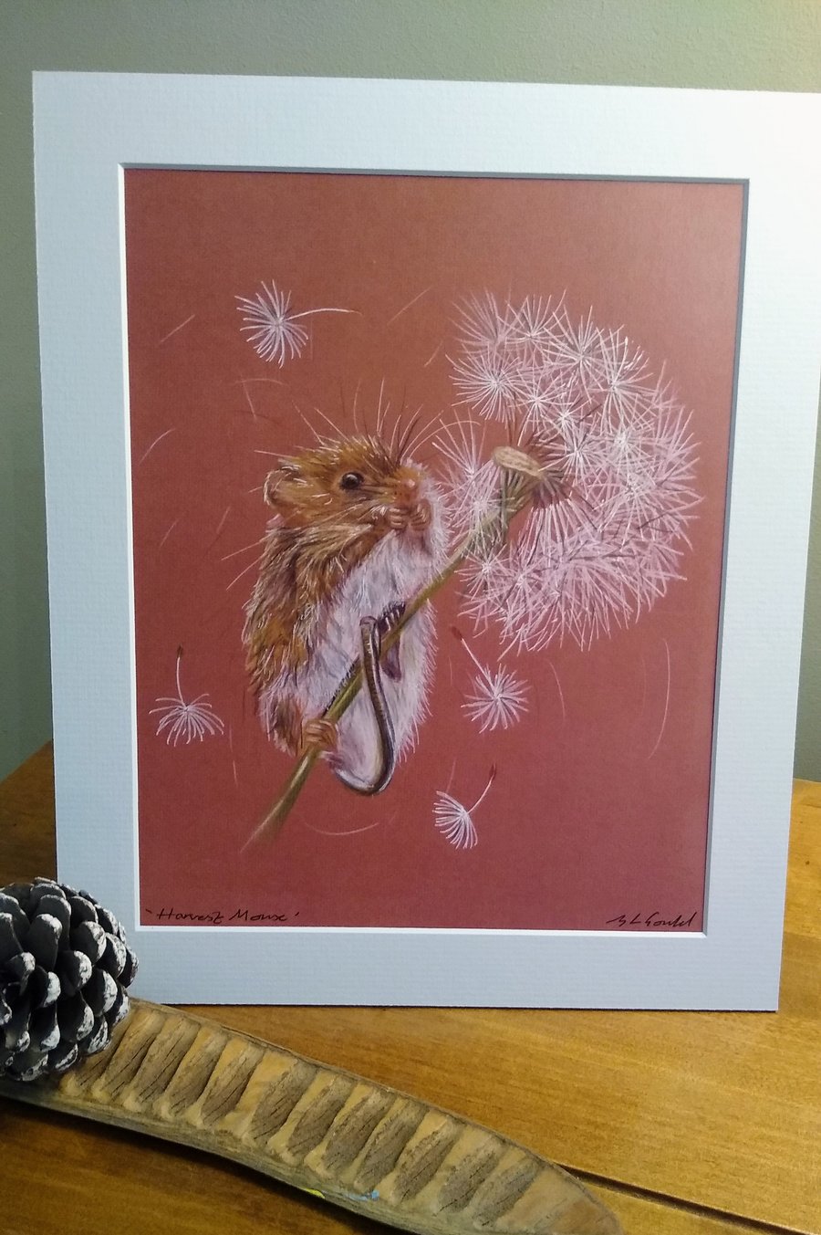 A quality signed print of an original drawing of a Harvest Mouse.