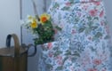 Allotment skirts