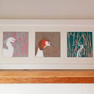 Framed group of birds for nature lovers 