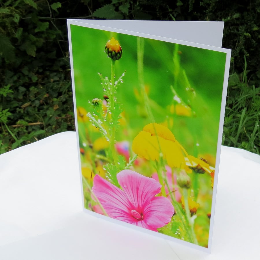 A card featuring an original photograph.  Blank inside.  Wildflower.