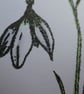 Sympathy Card - Snowdrop - Image 2