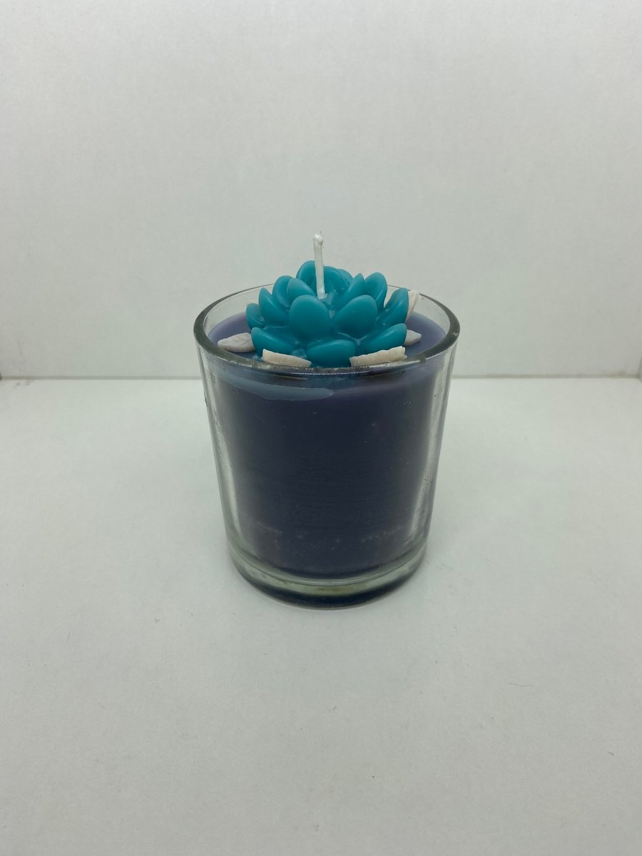 Succulent candles