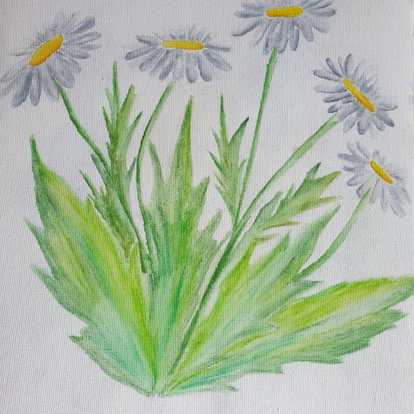 Daisy original watercolour