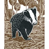 Young Badger A3 poster-print