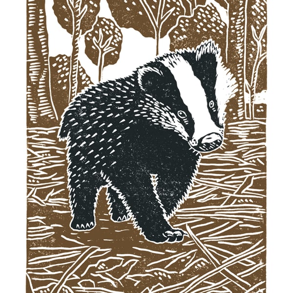 Young Badger A3 poster-print