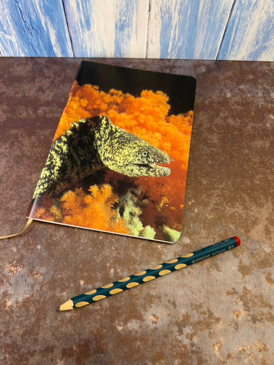 Notebook, Marine themed, A5 (ish), made from up-cycled and recycled materials.