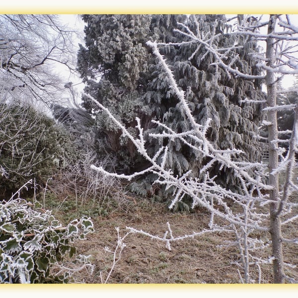 Frost on Trees Winter Norfolk Greeting Card A5 