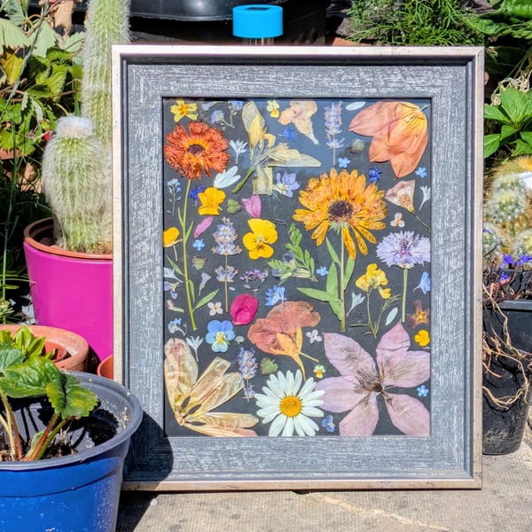 Pressed Flower Collage - 12.2" x 10.2" Grey & Gold Frame 