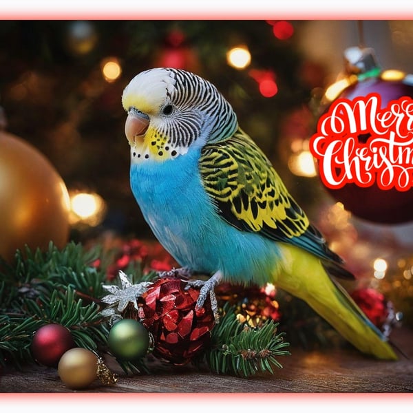 A5 Christmas Greeting Card Budgie With Xmas Decorations 
