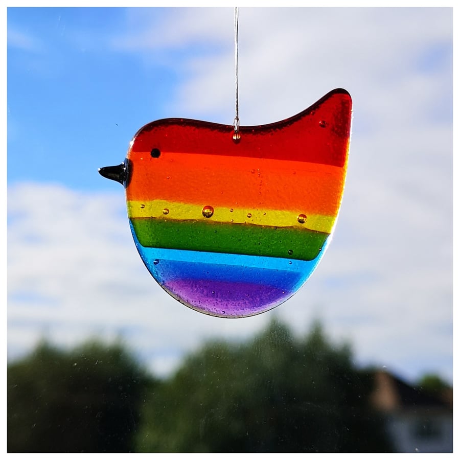 Bubbles, another chunky 'Rainbow Wren of Hope' bird 