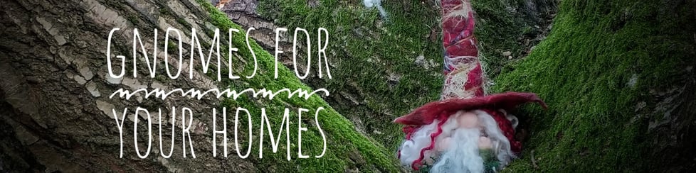 Gnomes For Your Homes 