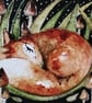 Mounted Whimsical Resting Fox in Grass Watercolour Painting  - Image 2