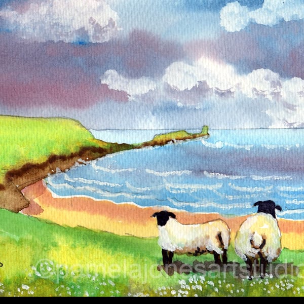 Sheep, Rhossili Bay, Gower, Watercolour Print, in 8 x 6 '' Mount