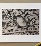 Robin.  Signed print. Bird. Gardens. Wildlife - Image 2