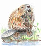 Beaver original watercolour painting. Cute animal - Image 3