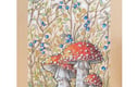 Mushrooms