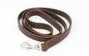 Dog collars and dog leads