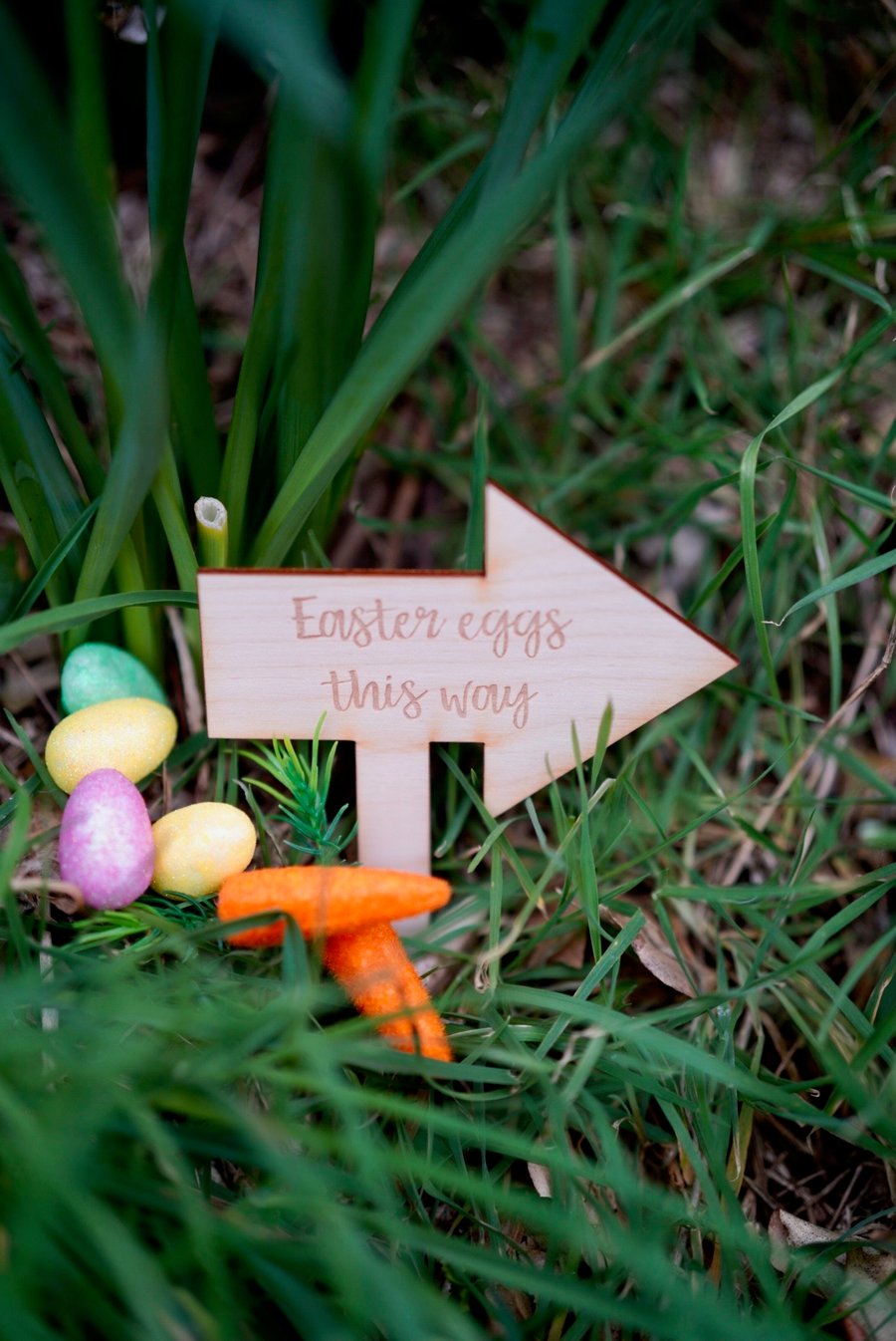 Easter egg hunt signs 