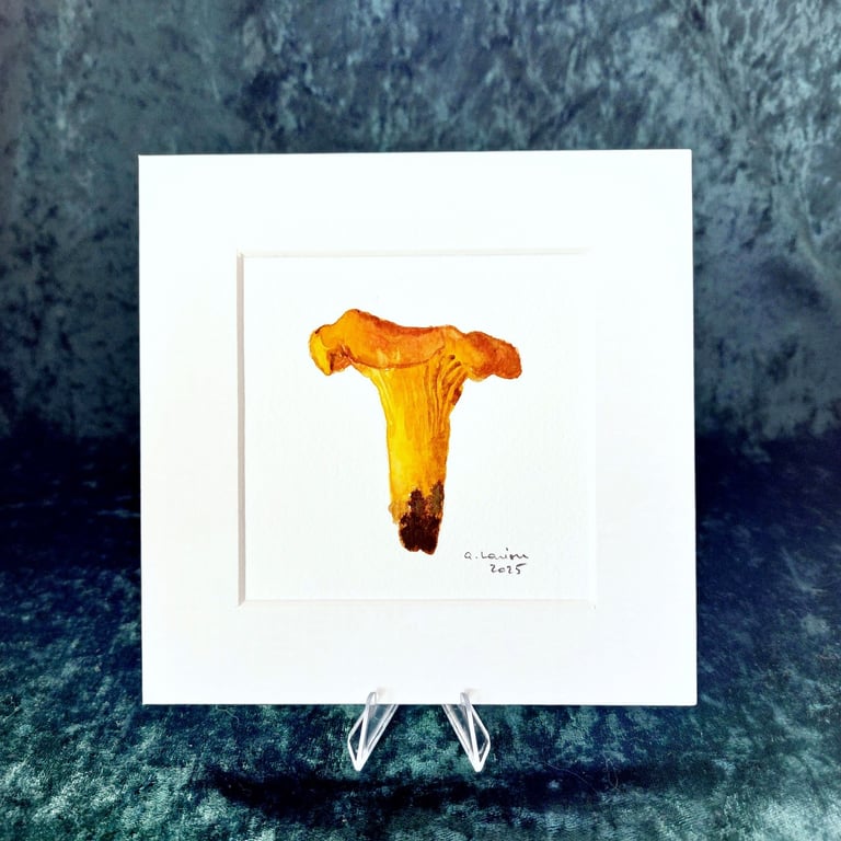 Chanterelle - Original Watercolour Painting