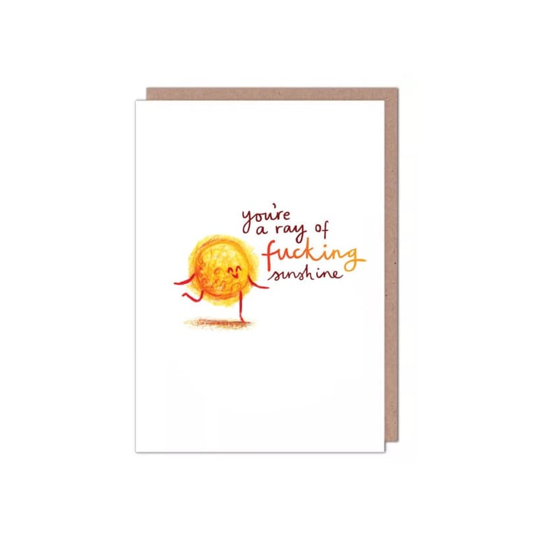 You're a Ray of Fcking Sunshine Valentines Birthday Anniversary Friendship Card