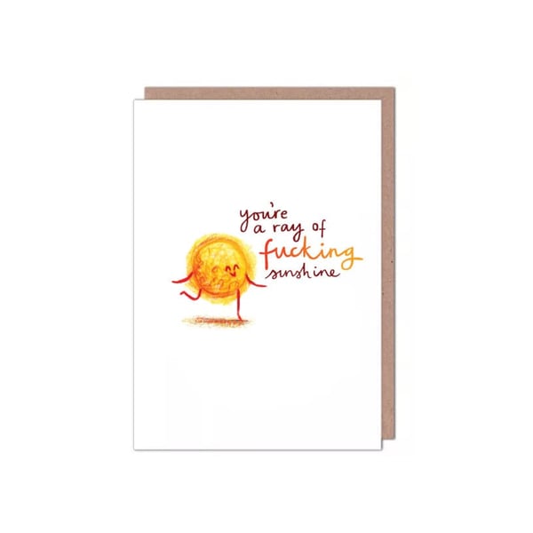 You're a Ray of Fcking Sunshine Valentines Birthday Anniversary Friendship Card