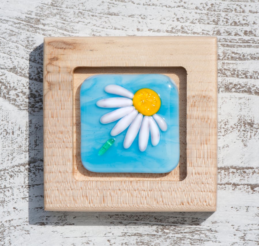 Fused Glass Picture - Daisy on Wispy Turquoise