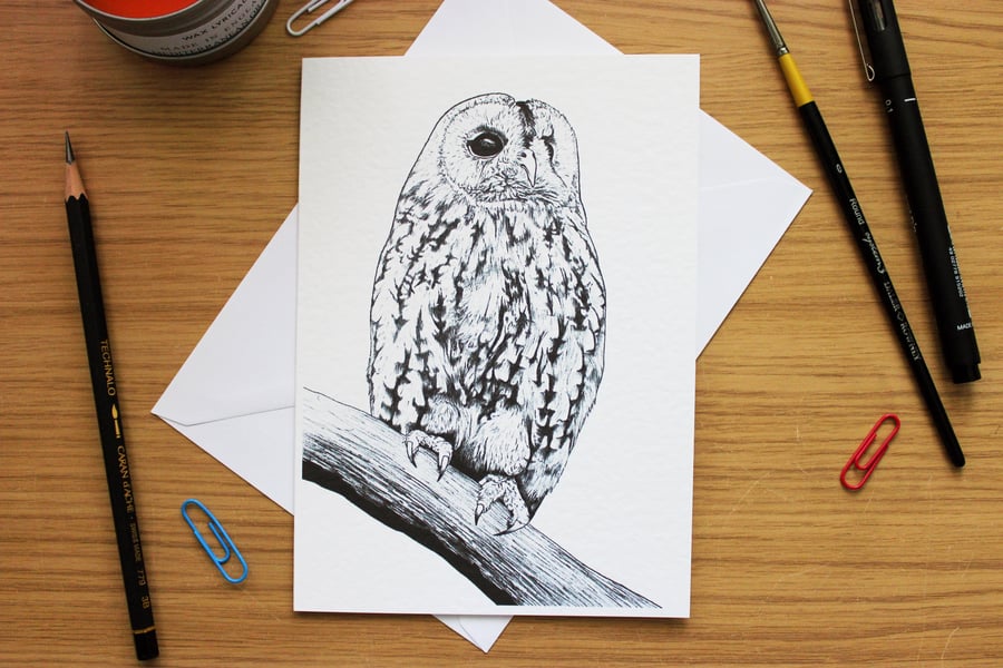 Tawny Owl Greeting Card - Blank Greeting Card, Wildlife Art Card, Free UK Post