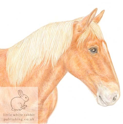 Suffolk Punch Horse - Blank Card