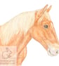 Suffolk Punch Horse - Blank Card - Image 1