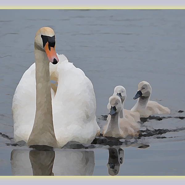 Swan & Cygnets Greeting Card A5