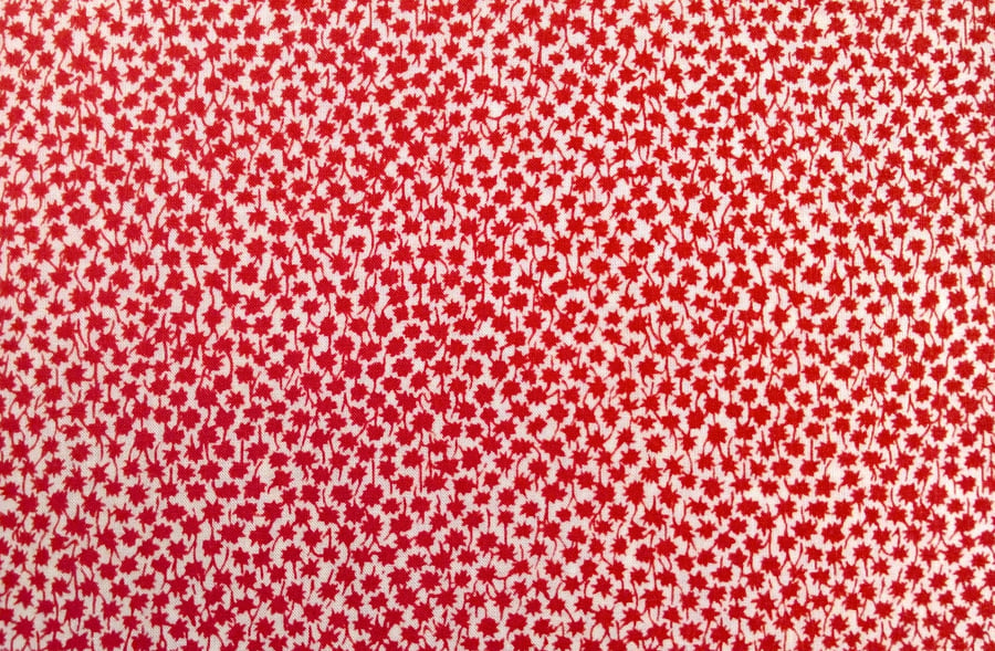 Liberty Fabric 10" Square : MARCO Red White Ditzy Floral