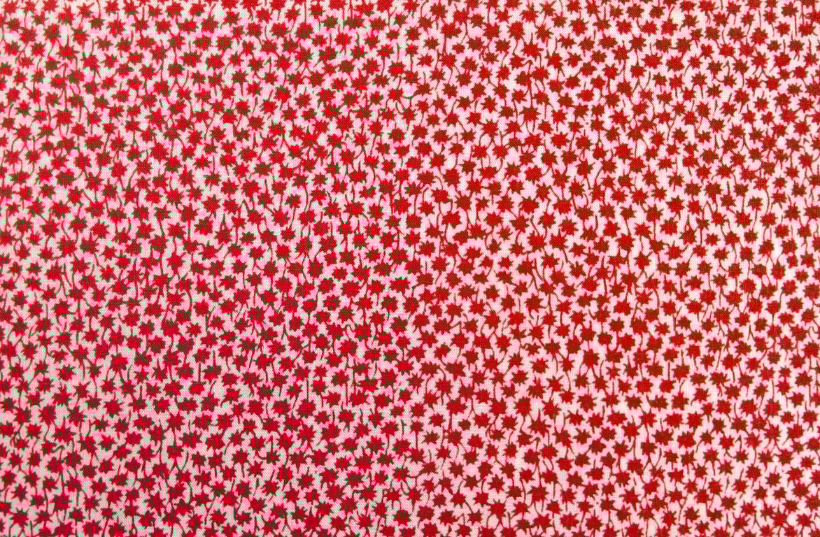 Liberty Fabric 10" Square : MARCO Red White Ditzy Floral