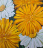 Dandelions and Daisies Acrylic Painting 