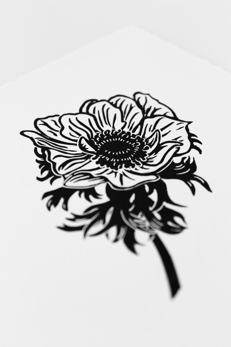 Limited edition Anemone linoprint