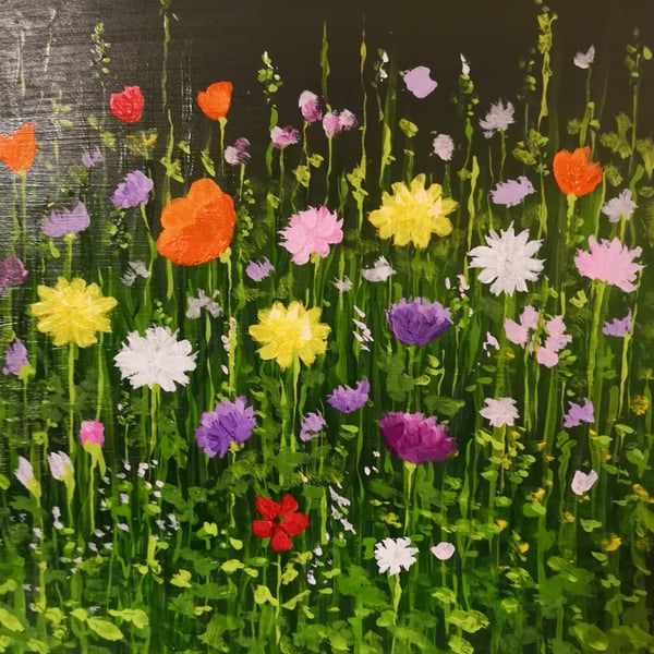 Broad Lane Wild Flowers 