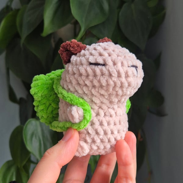 Mizu the Capybara Crochet Kit