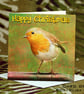 Exclusive Handmade Christmas Robin Greetings Card on Archive Photo Paper - Image 2