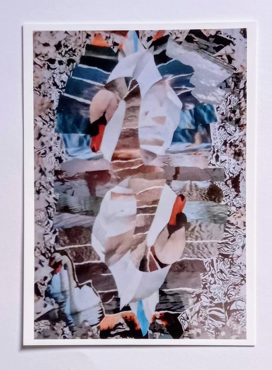 Swan Card 'In Bluer Skies' A5