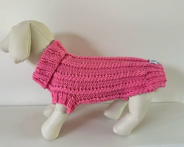 XS Dog Jumper - Ideal for a Miniature Dachshund or Small Dog