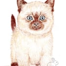 Minnie the Kitten - Birthday Card