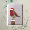 'Robin' Christmas Card