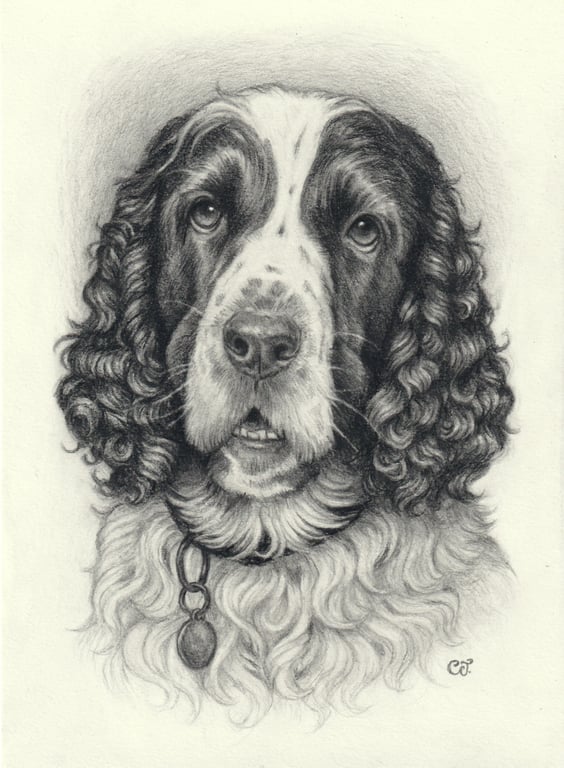 Custom Pencil Pet Portrait 6x8 in