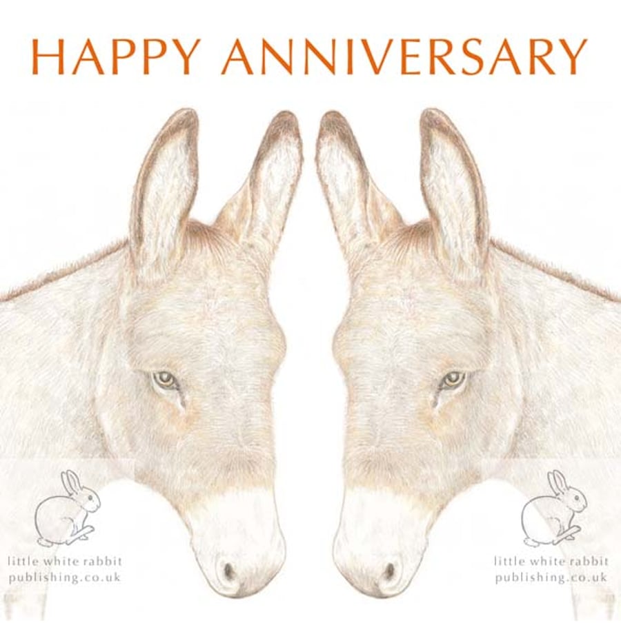 Donkey - Anniversary Card