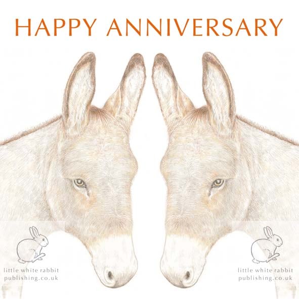 Donkey - Anniversary Card
