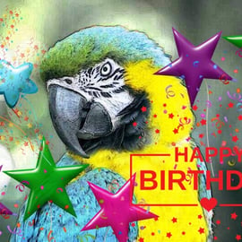 A5 Macaw Parrot Birthday Card 