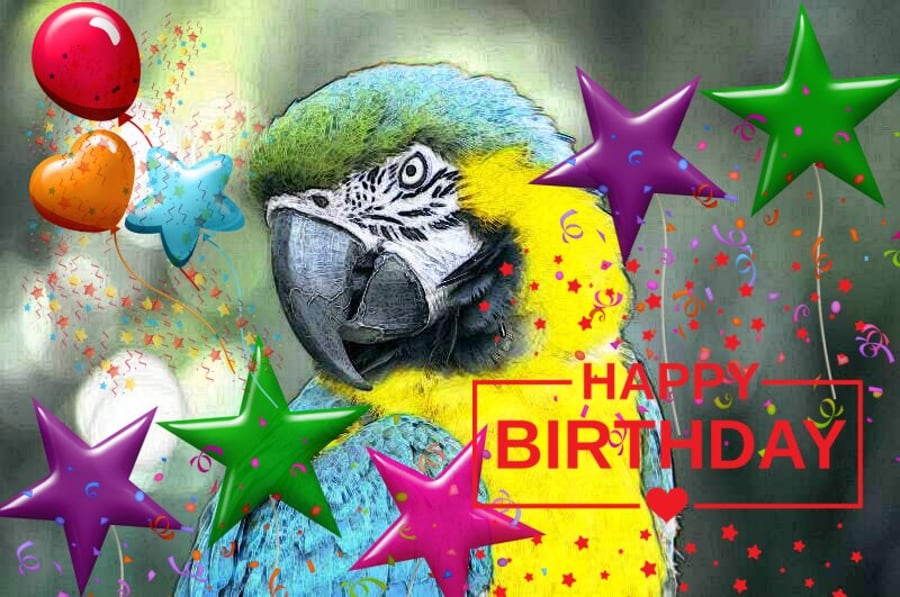 A5 Macaw Parrot Birthday Card 