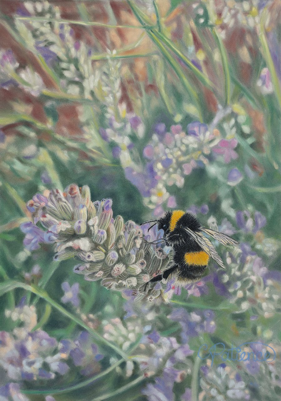 'Lavender Bounty' - 5x7 - signed limited edition giclee print