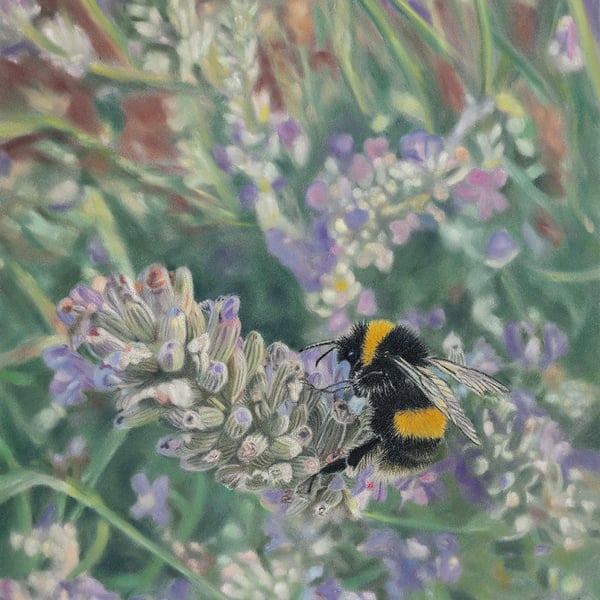 'Lavender Bounty' - 5x7 - signed limited edition giclee print