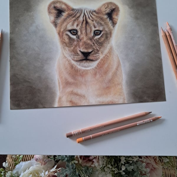 Lion Cub Drawing Fine Art Print Limited Edition 