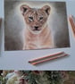 Lion Cub Drawing Fine Art Print Limited Edition 